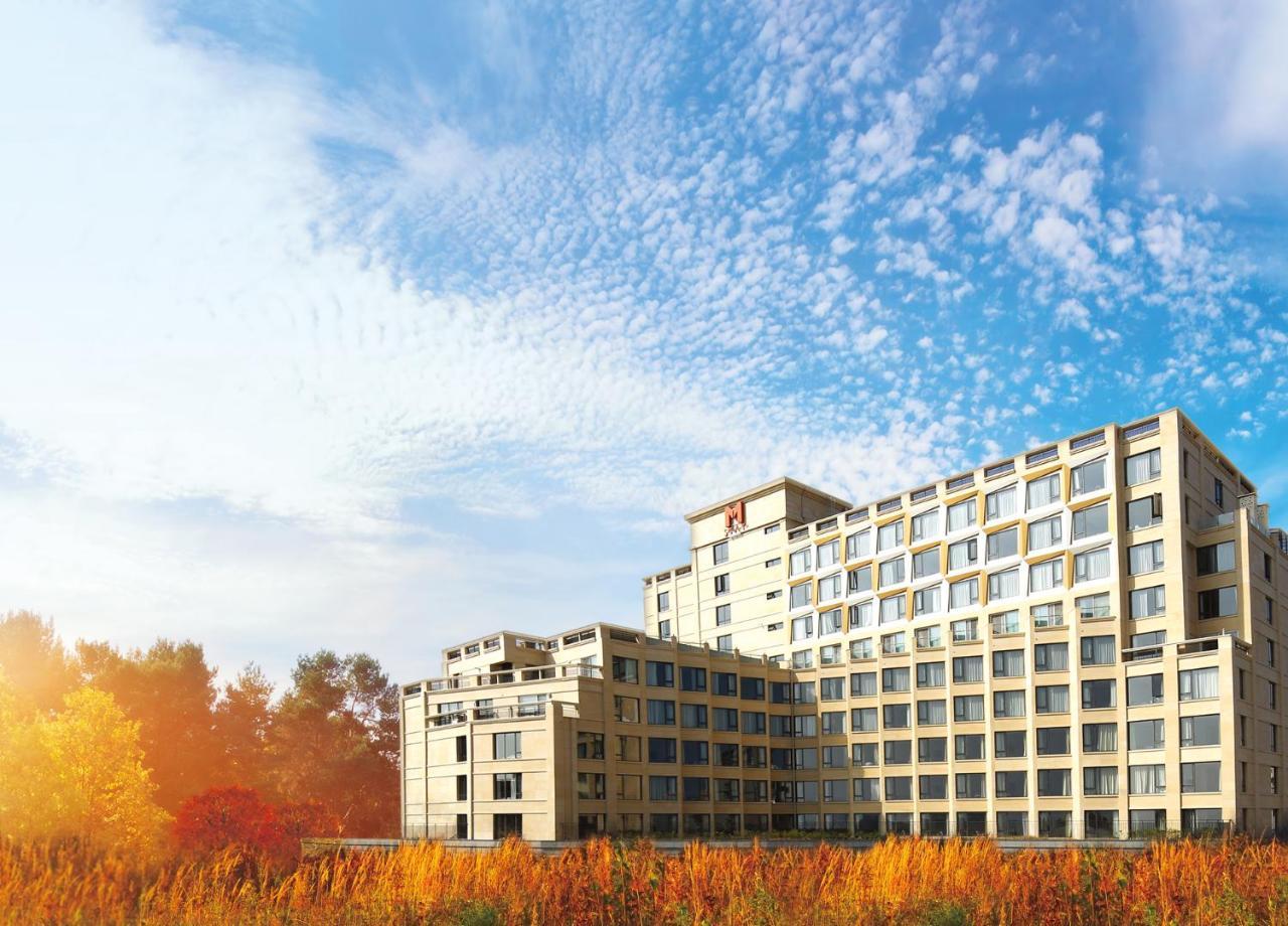 Mstay Hotel Seogwipo Exteriör bild
