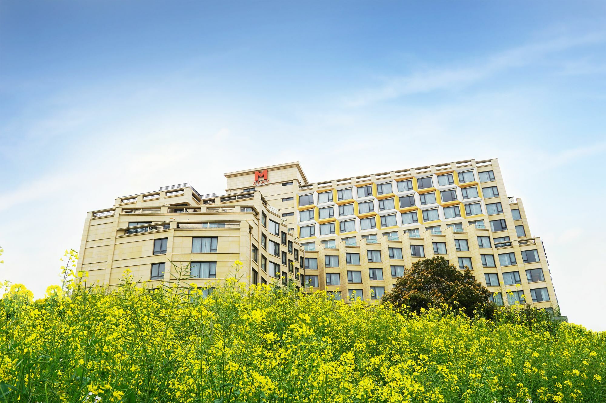 Mstay Hotel Seogwipo Exteriör bild